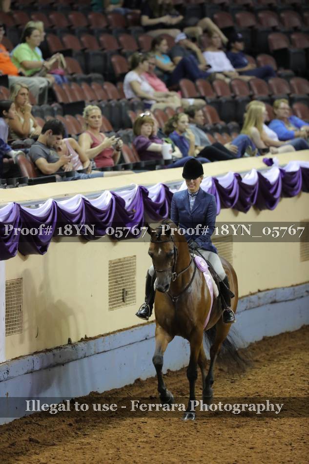 Proof 18YN_05767