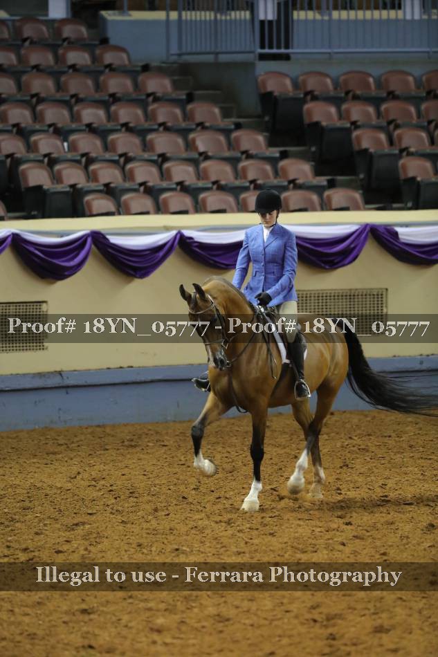 Proof 18YN_05777