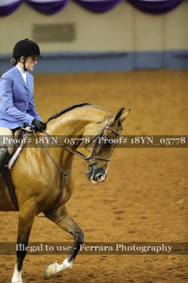 Proof 18YN_05778
