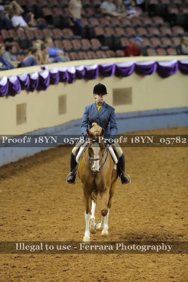 Proof 18YN_05782