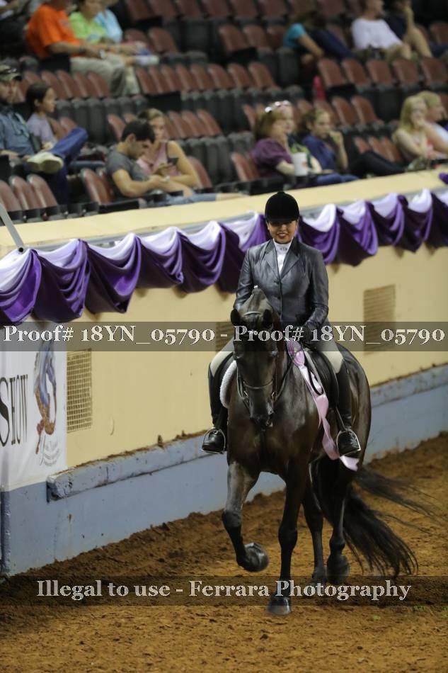 Proof 18YN_05790