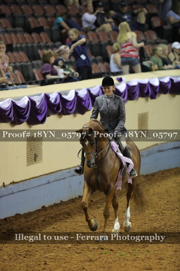 Proof 18YN_05797