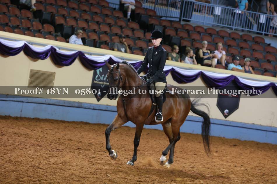 Proof 18YN_05801