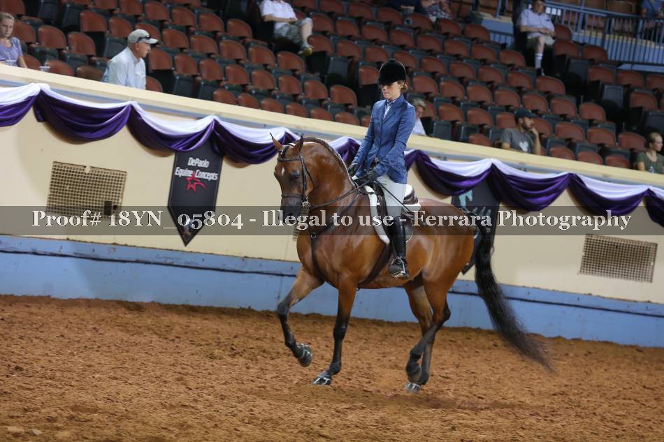 Proof 18YN_05804