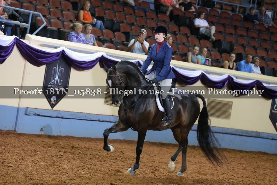 Proof 18YN_05838