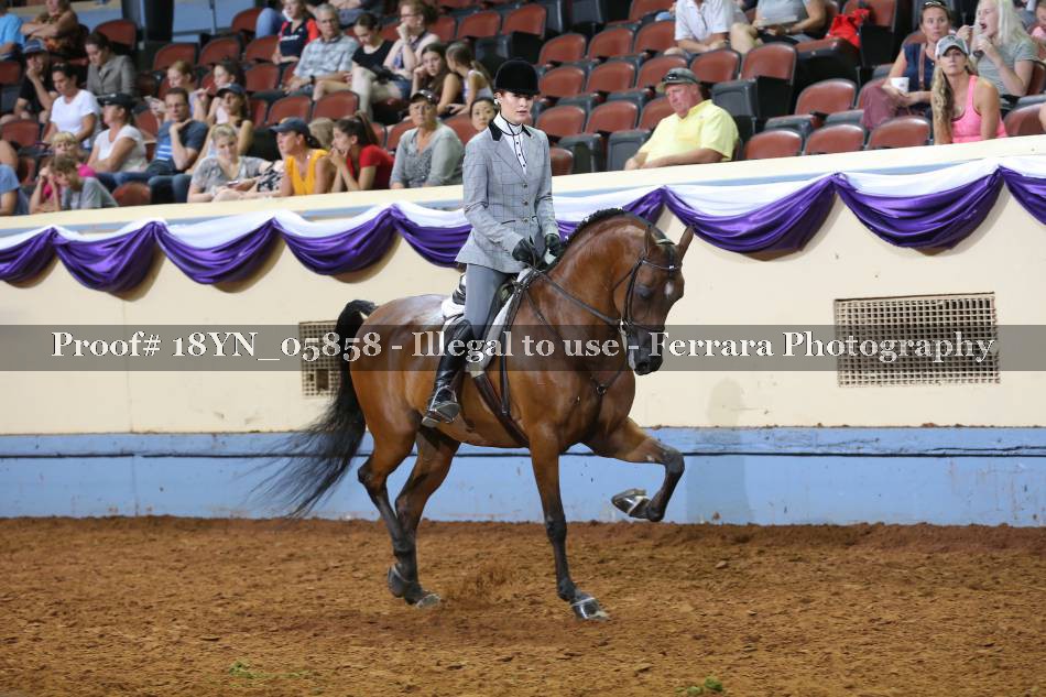 Proof 18YN_05858
