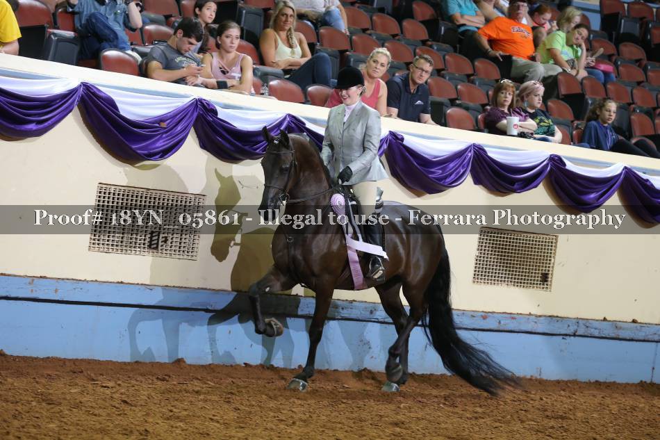 Proof 18YN_05861