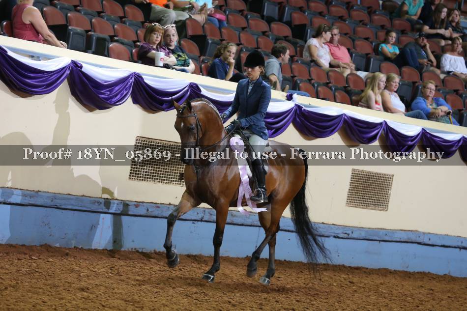 Proof 18YN_05869