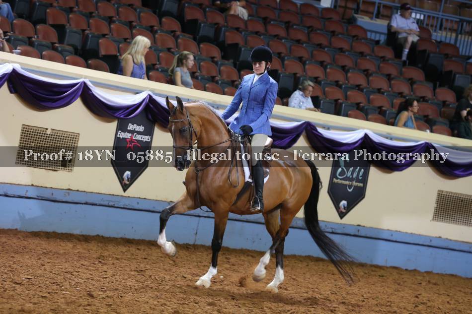 Proof 18YN_05885
