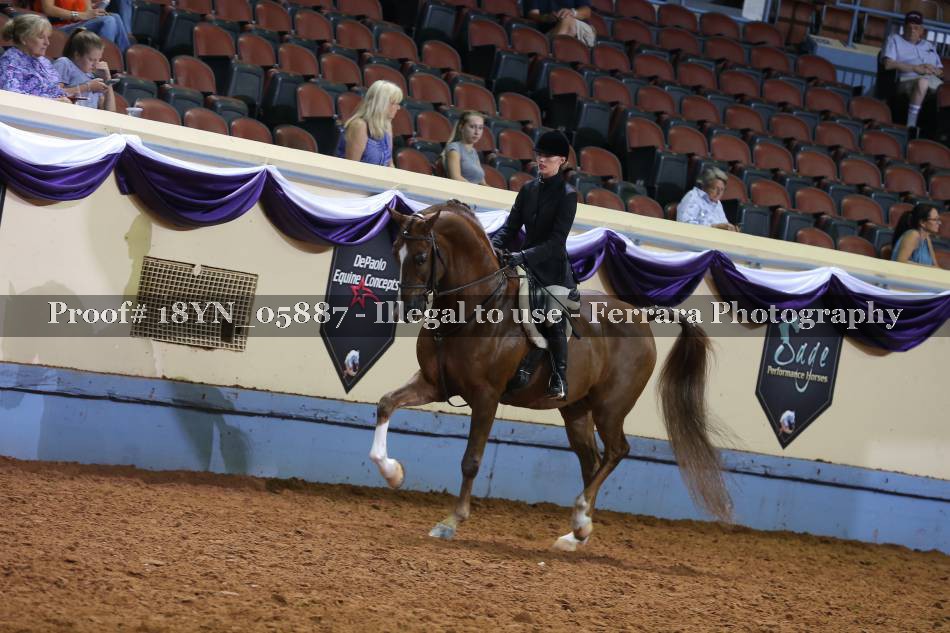 Proof 18YN_05887