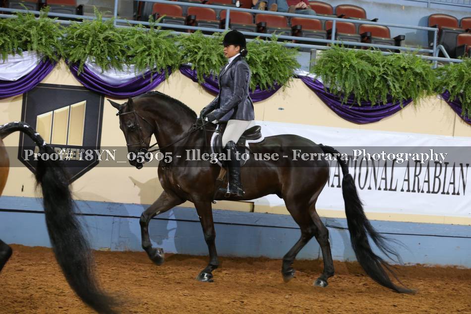 Proof 18YN_05905