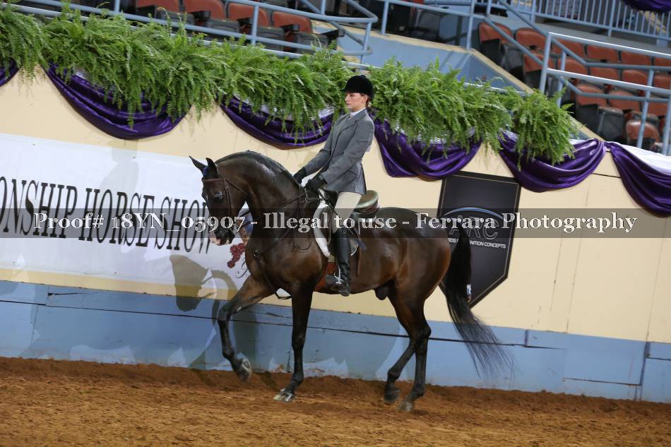 Proof 18YN_05907