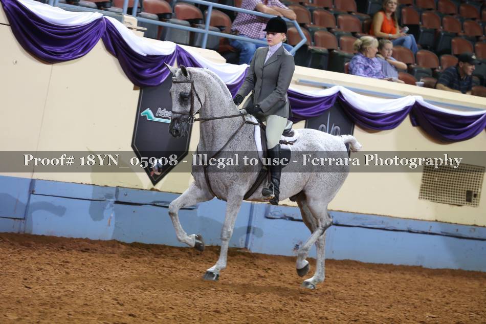 Proof 18YN_05908