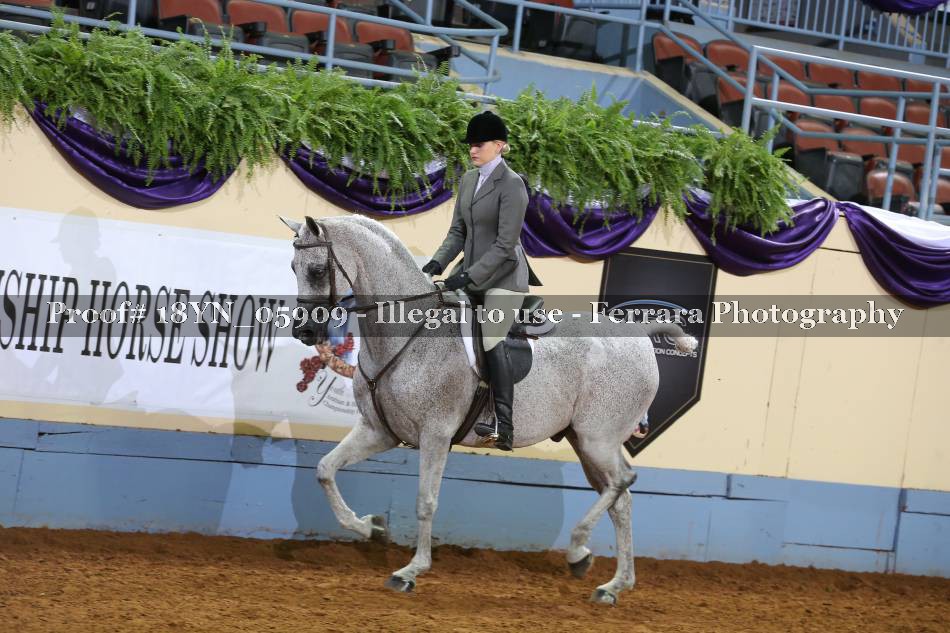 Proof 18YN_05909