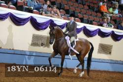 18YN_06114 proof