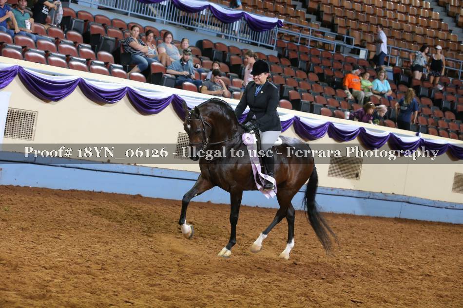Proof 18YN_06126