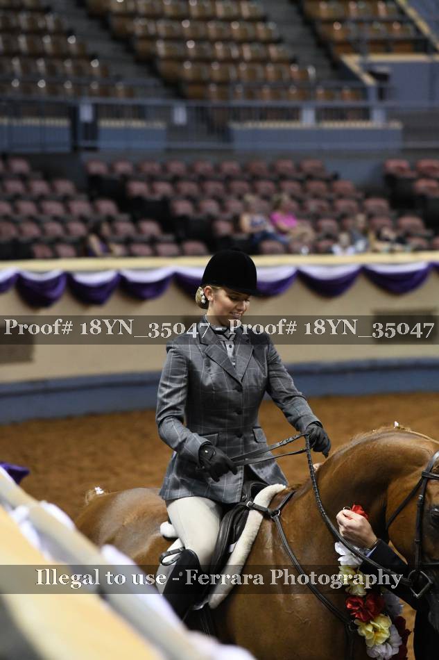 Proof 18YN_35047