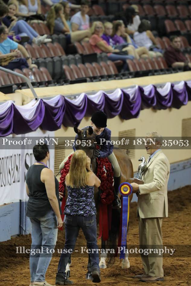 Proof 18YN_35053