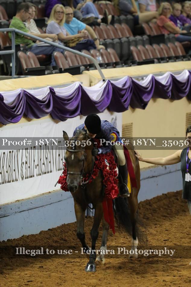 Proof 18YN_35056