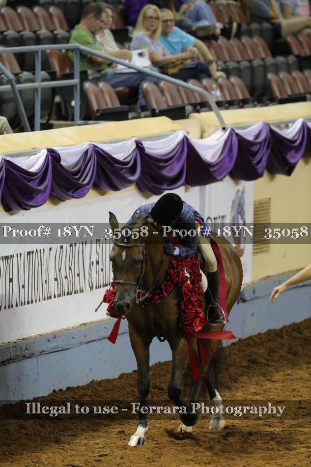Proof 18YN_35058