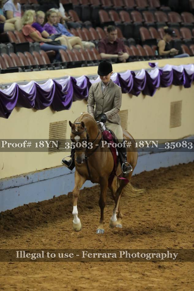 Proof 18YN_35083