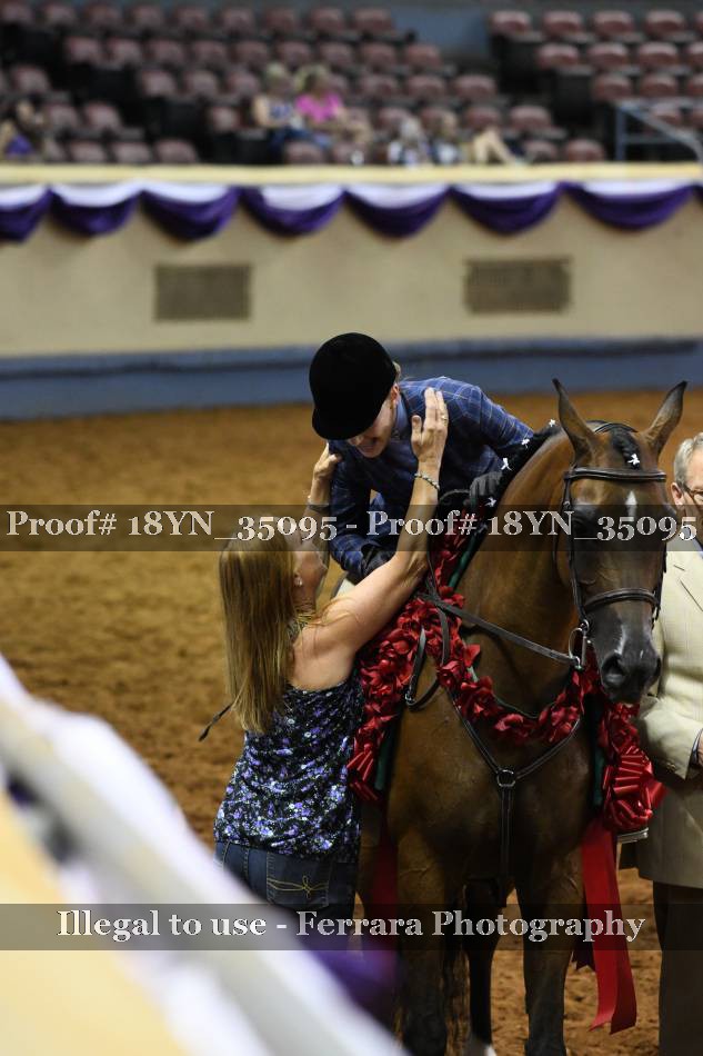Proof 18YN_35095