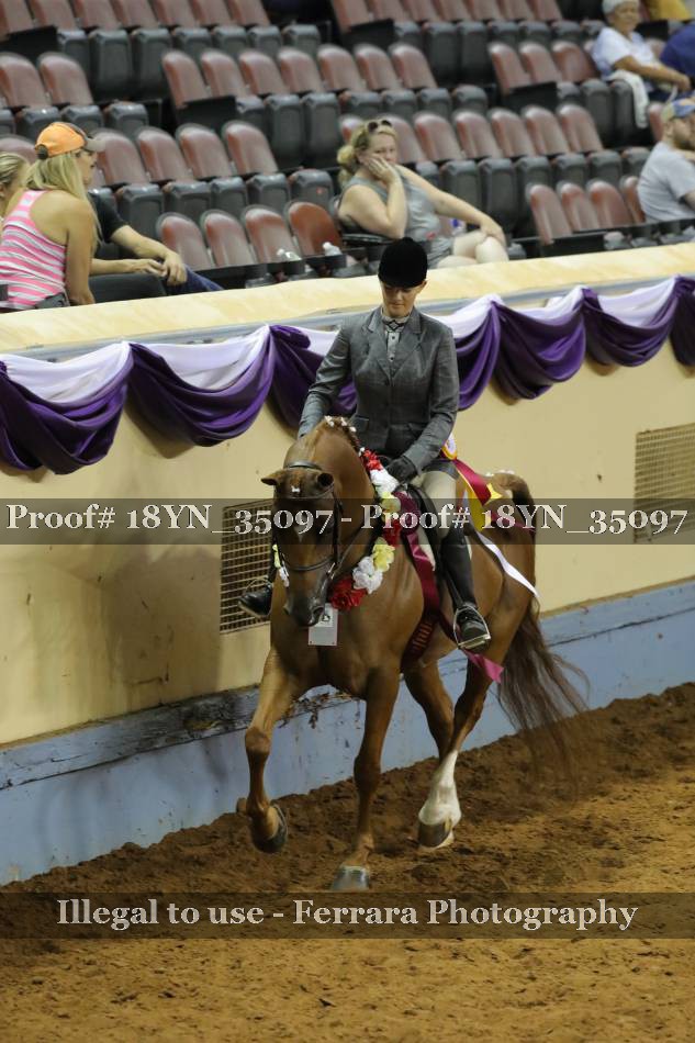 Proof 18YN_35097