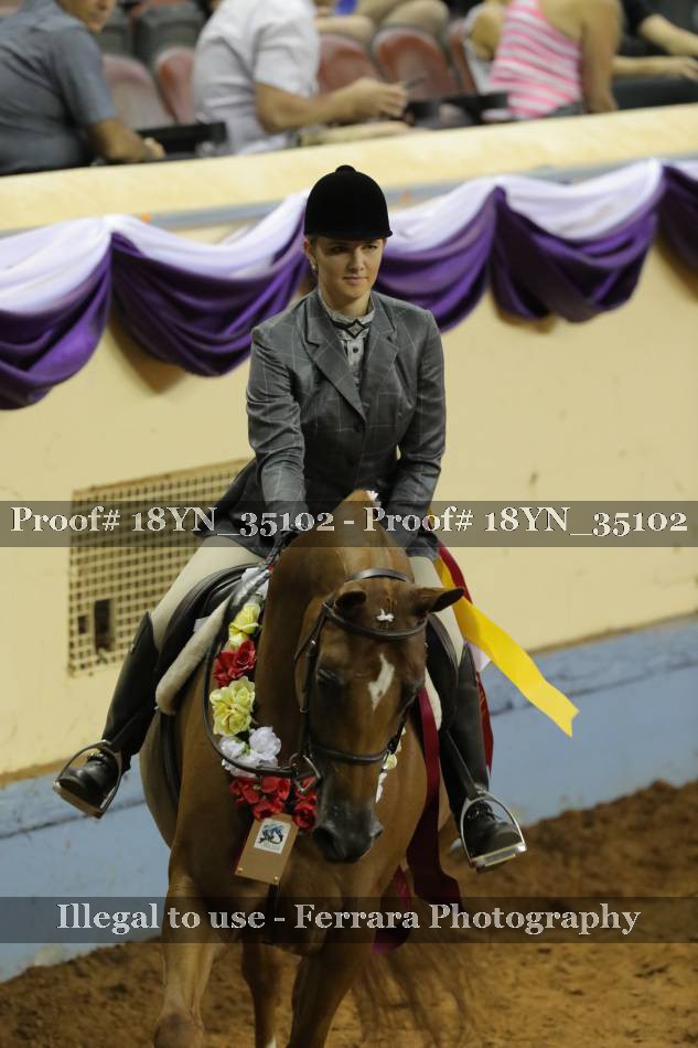 Proof 18YN_35102