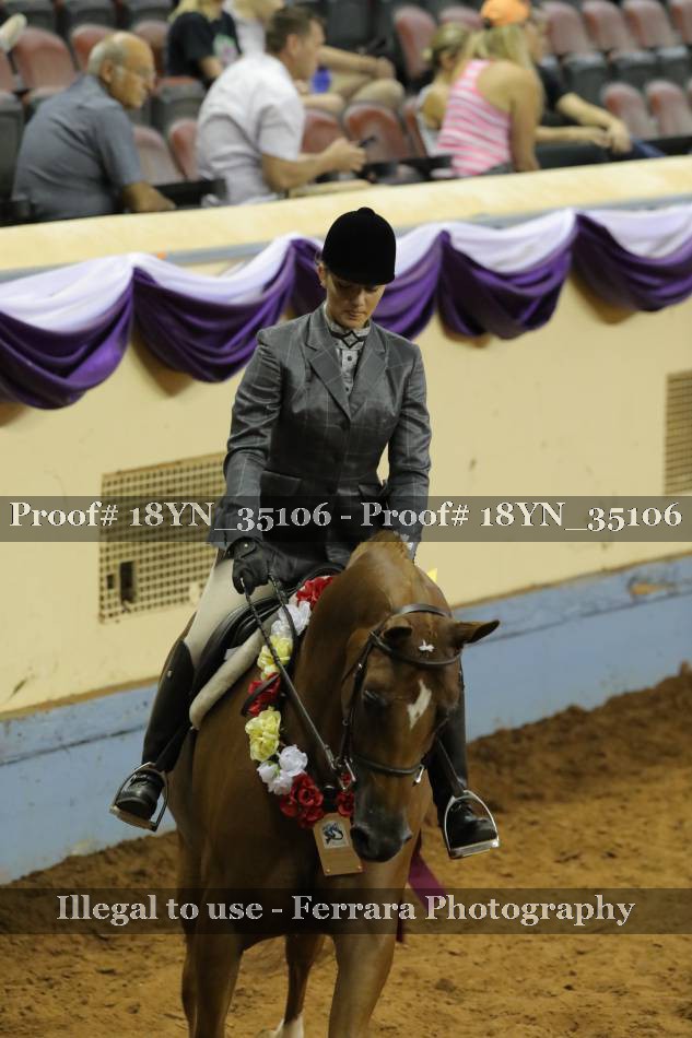 Proof 18YN_35106