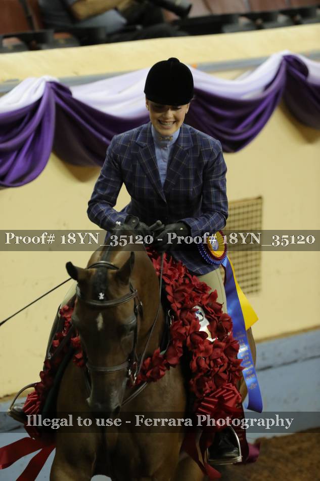Proof 18YN_35120