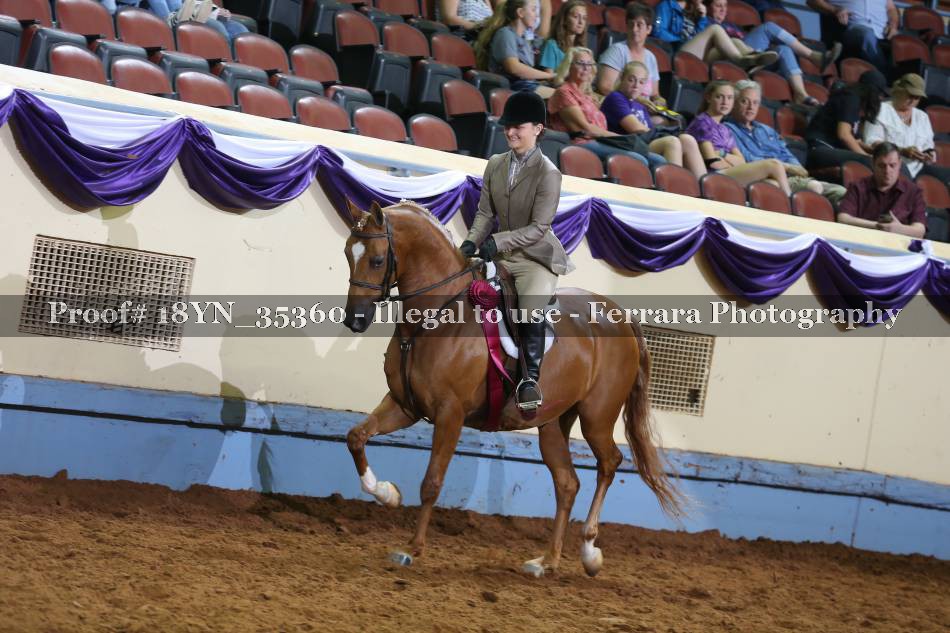 Proof 18YN_35360