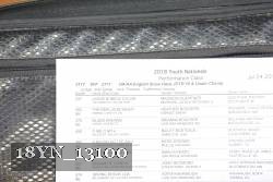 18YN_13100 proof