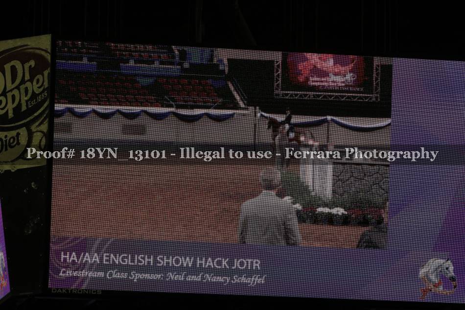 Proof 18YN_13101