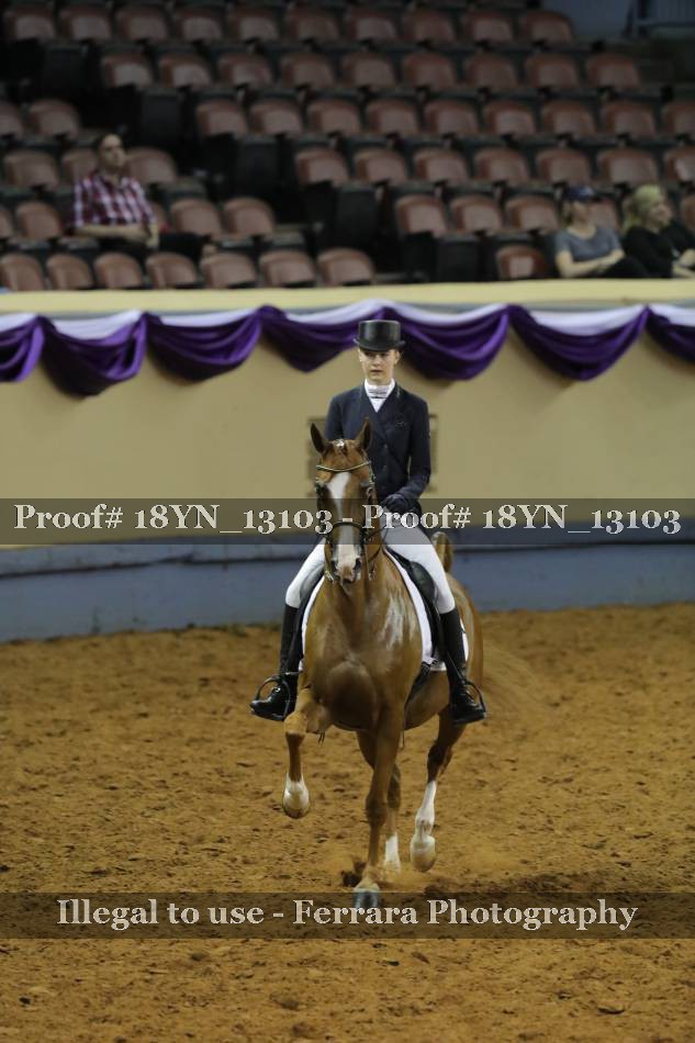 Proof 18YN_13103