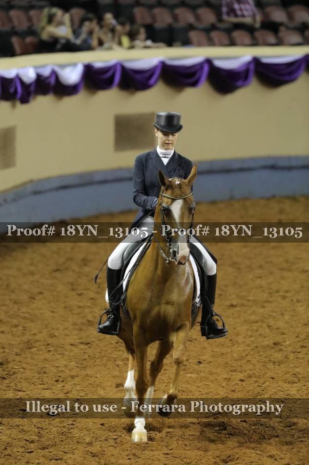 Proof 18YN_13105