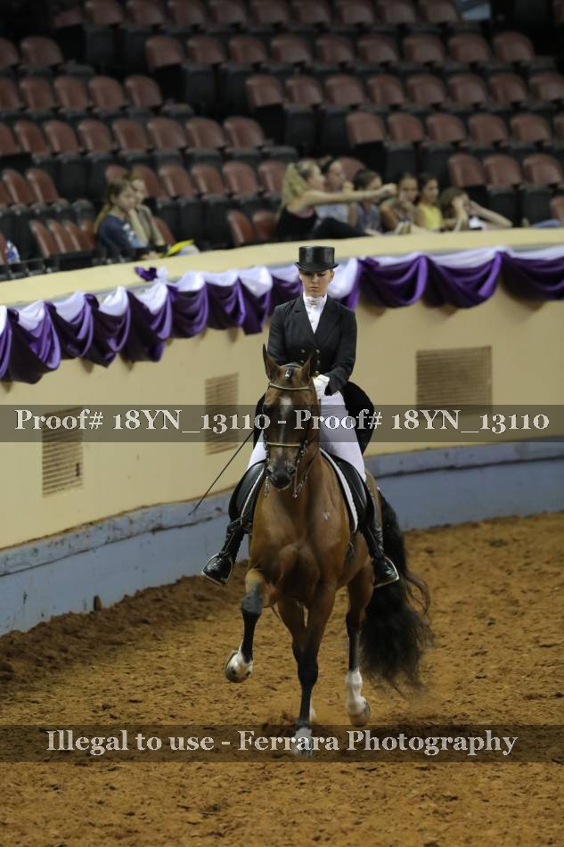 Proof 18YN_13110