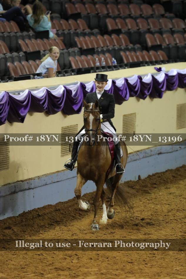 Proof 18YN_13196