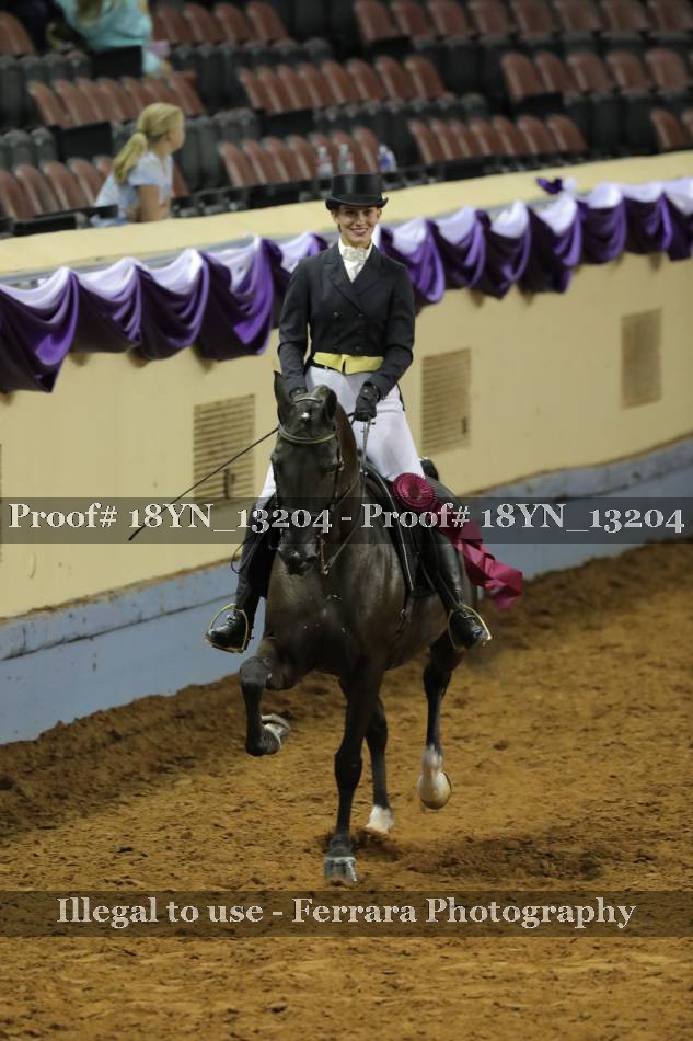Proof 18YN_13204
