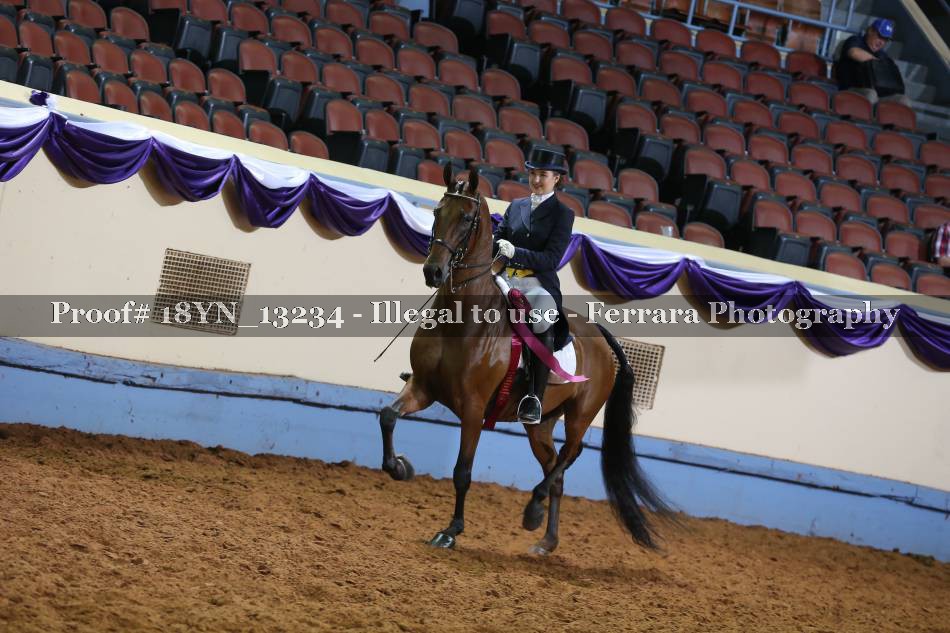 Proof 18YN_13234