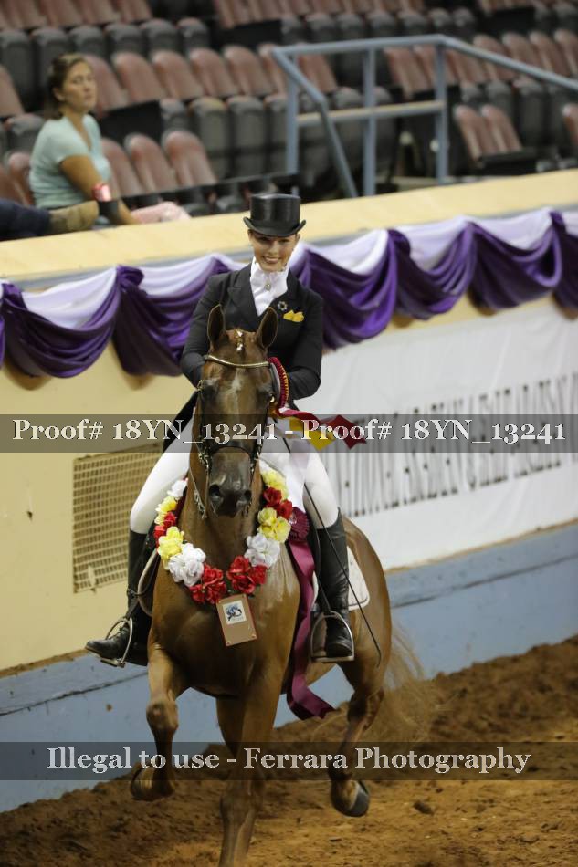 Proof 18YN_13241