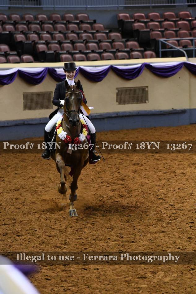 Proof 18YN_13267