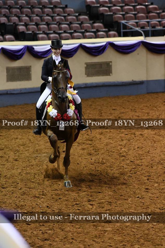 Proof 18YN_13268