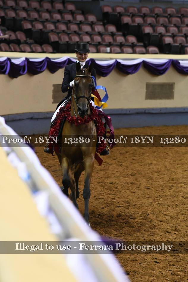 Proof 18YN_13280