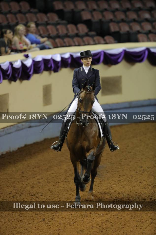 Proof 18YN_02525
