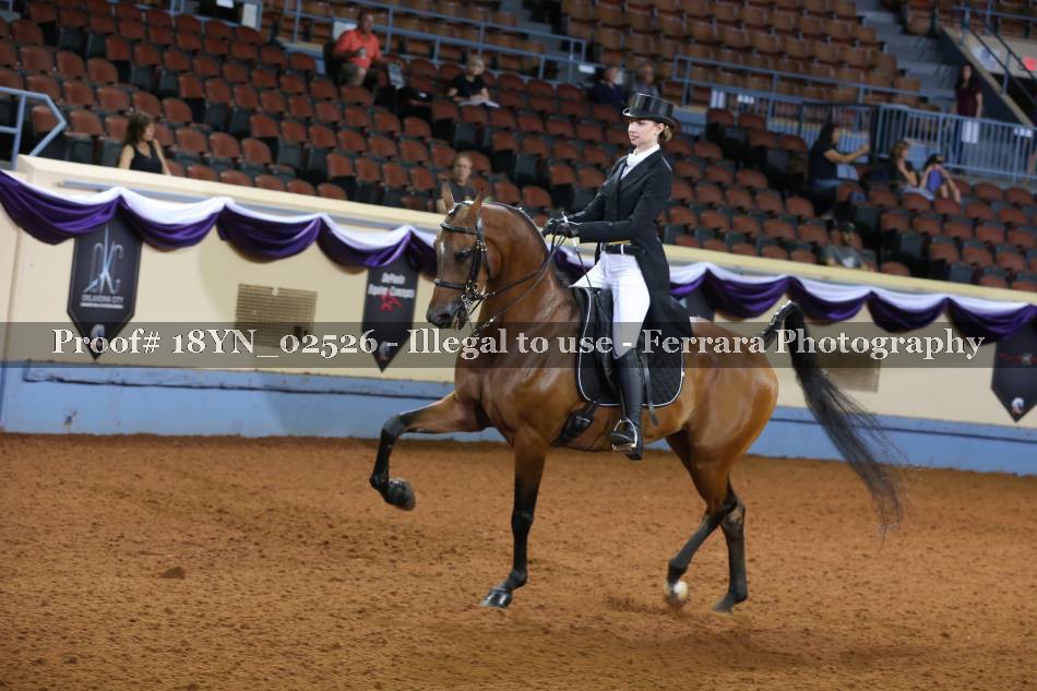 Proof 18YN_02526