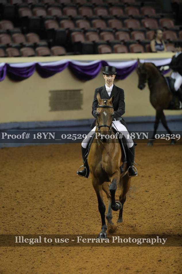 Proof 18YN_02529