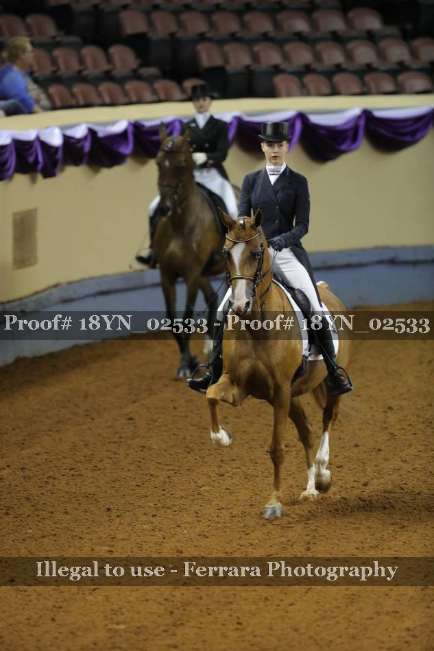Proof 18YN_02533