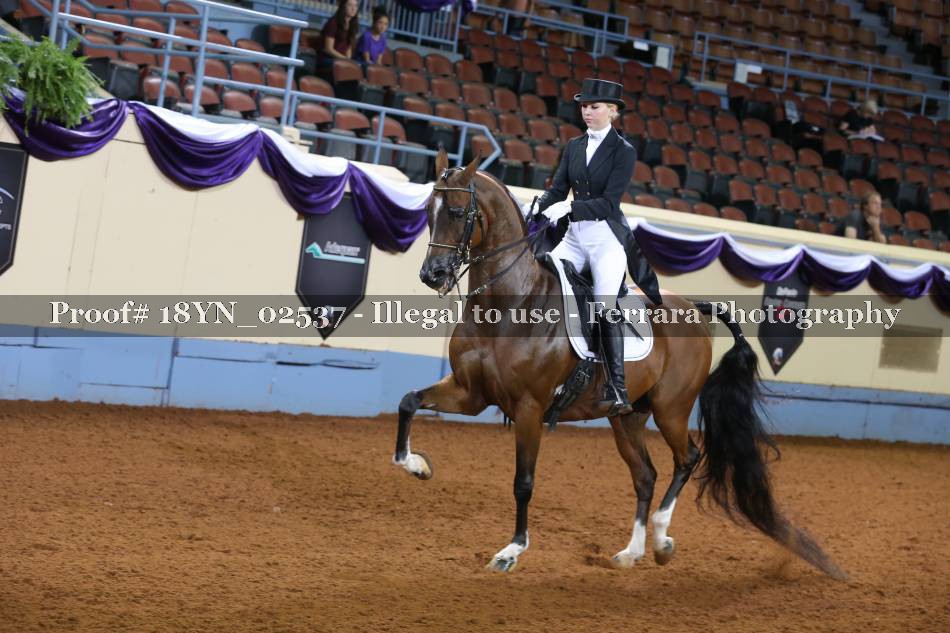 Proof 18YN_02537