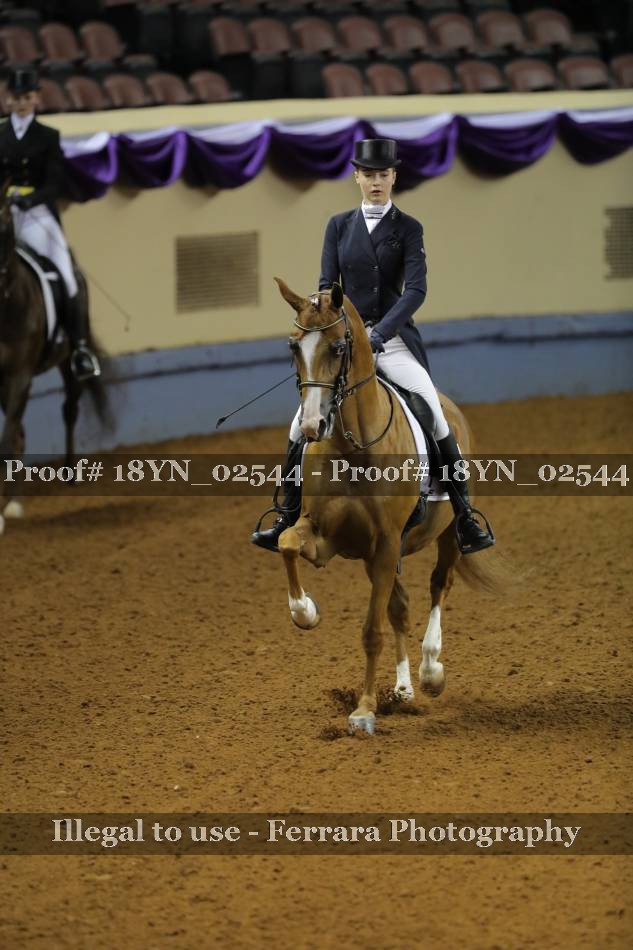 Proof 18YN_02544