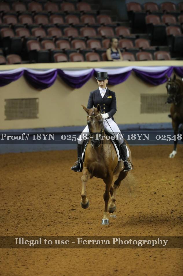 Proof 18YN_02548